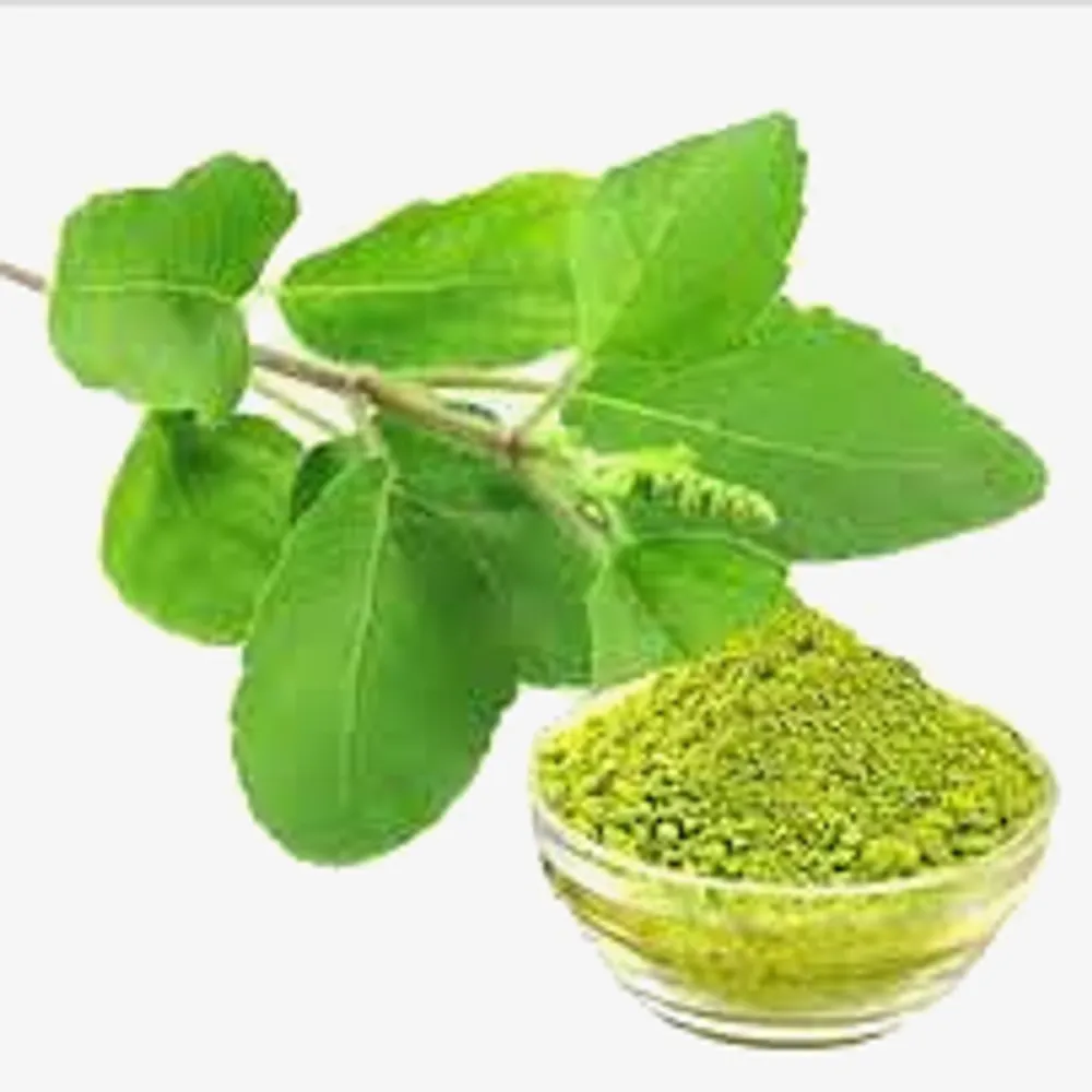 তুলশী পাউডার (Tulsi Powder)-image